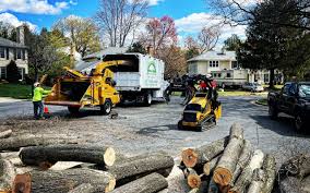  Sunnyslope, WA Tree Care Pros